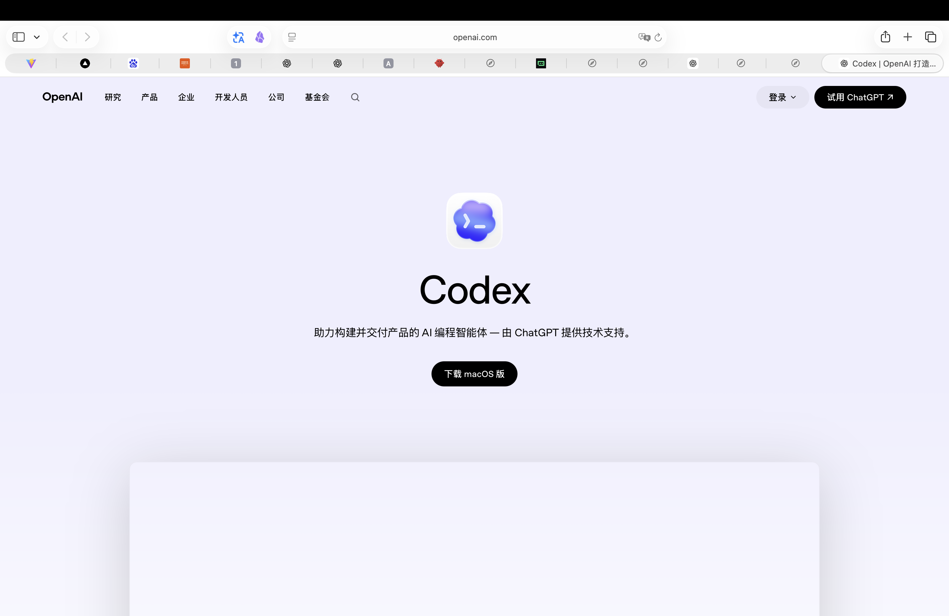 Codex 官方页面截图